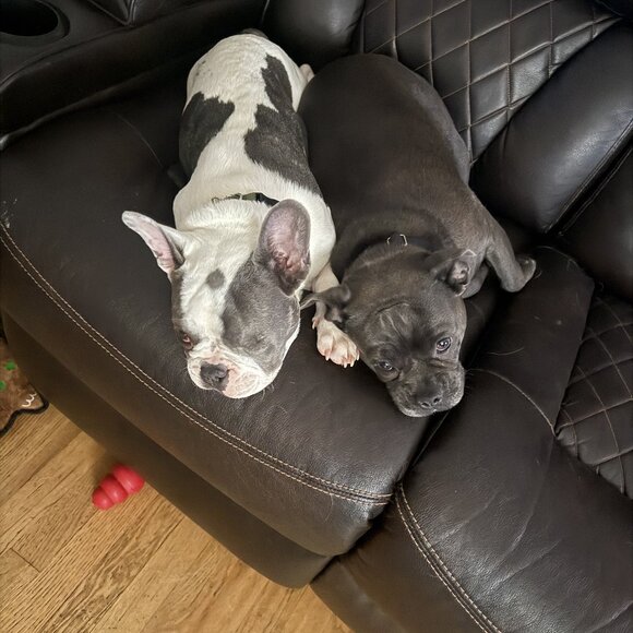 Don't Sleep On These Amazing Deals - Picture 3 of 7